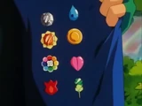 Gym Badges