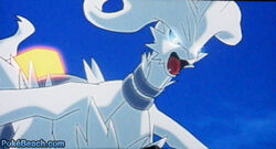 Reshiram and Zekrom Short: Cookies MiracleTourDeForce