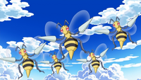 Honey Island Beedrill