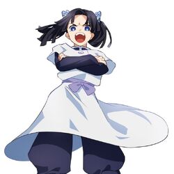 Category:Female Characters, Kimetsu no Yaiba Wiki