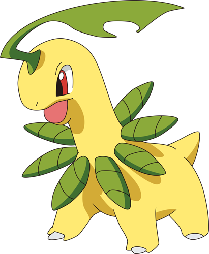 pokemon bayleef