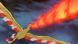 Moltres, Wikia Liber Proeliis