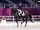 Dressage