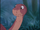 Ali (The Land Before Time)