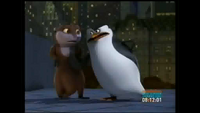 Skipper penguin 1