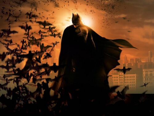 Batmanbegins bats