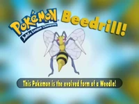 Who's that Pokemon? (Johto edition)