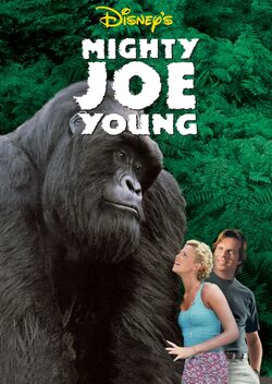 Gorilla Joe - owner - Gorilla Joe's Sports Nutrition