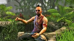 96 Vaas Montenegro ideas  far cry 3, crying, definition of insanity