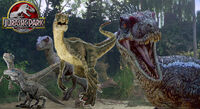Jurassic park raptor wallpaper by tabbykat32-d64qw25
