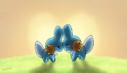 Mudkip Valentine's Day