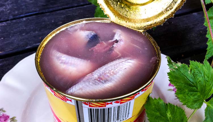 Surströmming, Legends of the Multi Universe Wiki