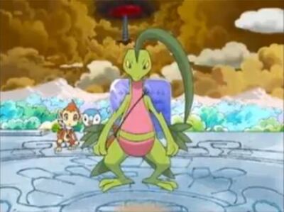 pokemon mystery dungeon explorers of sky grovyle