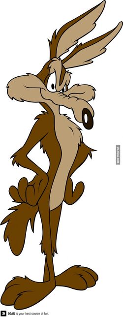 Wile E. Coyote | Legends of the Multi Universe Wiki | Fandom