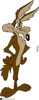 Wile E Coyote