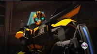 Images0 bumblebee.jpg (7 KB)