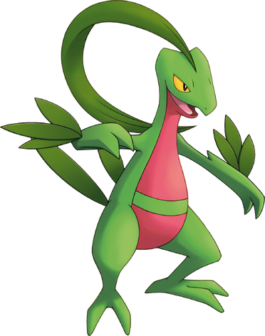 253Grovyle PMD Explorers