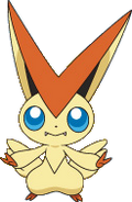 Victini BW anime 2