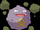 Koffing