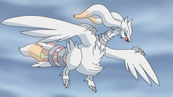 LegendsDiscovered: RESHIRAM! “This legendary Pokémon can scorch