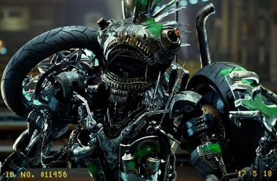 TLK Mohawk