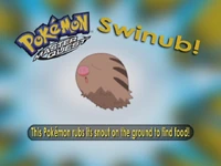 Who's that Pokemon? (Johto edition)