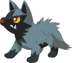 Random Pokemon Bot on X: Poochyena Ability: Rattled Moves: Scary Face,  Embargo, Hyper Voice, Return #pokemon #Poochyena  /  X