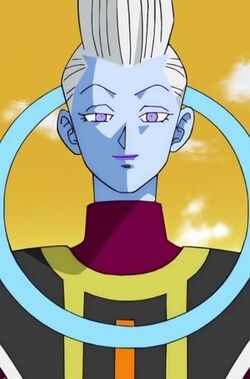 Image Trissnew Png Great Multiverse Wiki Fandom Powered - Dragon Ball Super  Grand Priest Png, Transparent Png - 576x1077(#6857394) - PngFind