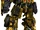 Payload