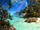 Paradise
