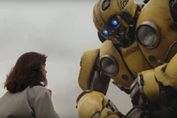 Bumblebee2.jpg (134 KB)