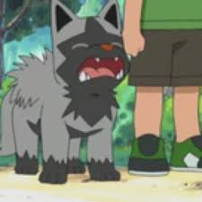 Random Pokemon Bot on X: Poochyena Ability: Rattled Moves: Scary Face,  Embargo, Hyper Voice, Return #pokemon #Poochyena  /  X