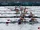 Rowing