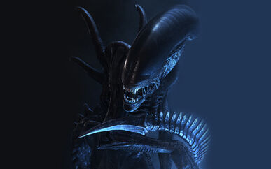 Xenomorph1