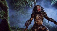 Predator 13.gif (2.3 MB)