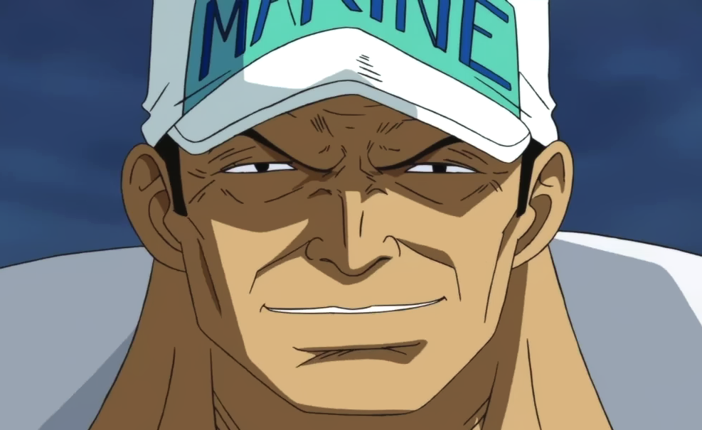 The Fleet Admiral - Akainu