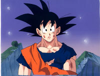Bgoku.jpg (113 KB)