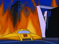 Bumblebee4.jpg (62 KB)