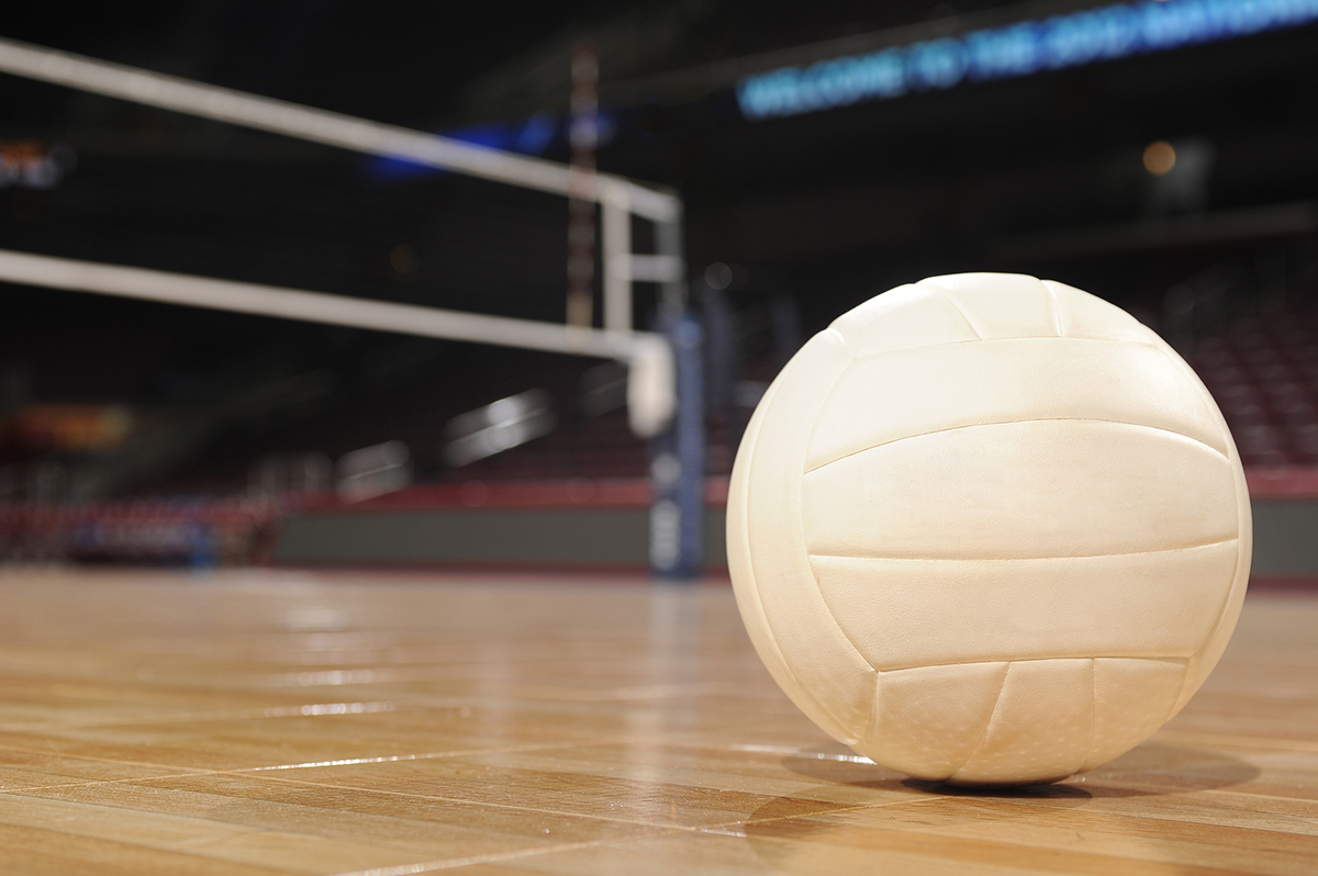 Volleyball Legends Of The Multi Universe Wiki Fandom Volleyball Legends Of The Multi Universe Wiki Fandom