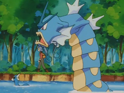 Gyarados, Legends of the Multi Universe Wiki