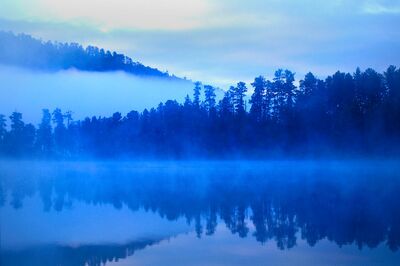 The Mists of May03