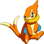 Buizel