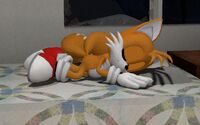 Tails sleeping