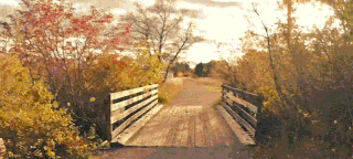 Giphy9kpk.gif