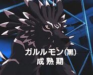 BlackGarurumon 2