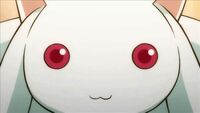 Kyubey4