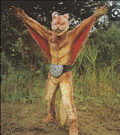 Screenshot 2022-09-11 at 21-30-19 Flying-Squirdle kamen rider - Google Search