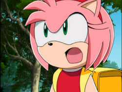 Amy Rose, Legends of the Multi Universe Wiki