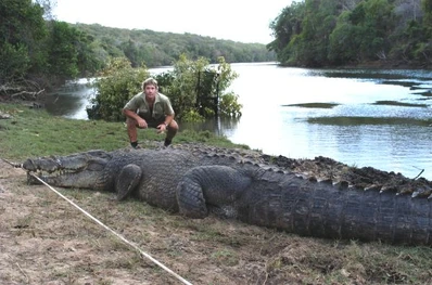 Biggest-Saltwater-Crocodile