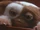 Gizmo (Gremlins)